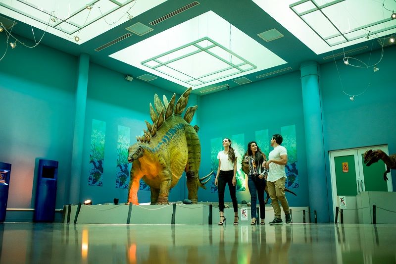 Museo del Desierto Chihuahuense (MUDECH)